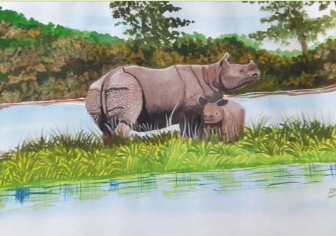 Bathing Bulls